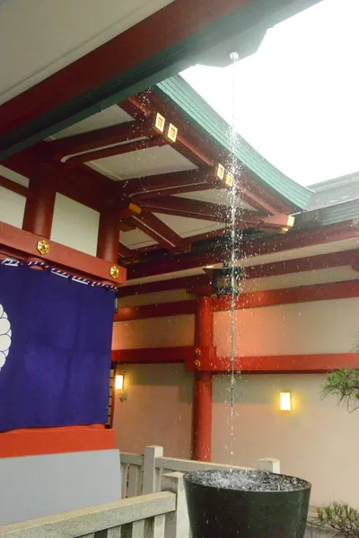 DSC_3202 (Large).JPG